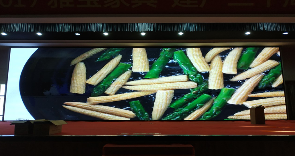 �����ű��Ҿ�