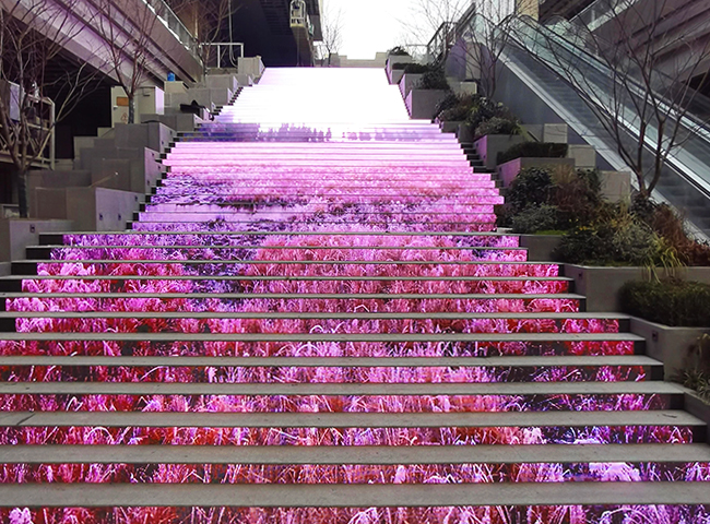 �Ϻ�ĳ�㳡¥����