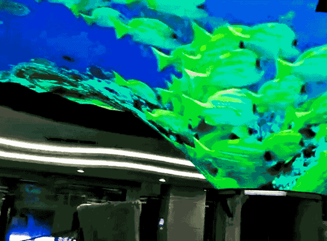 ��������Ļ��������ĿƼ���