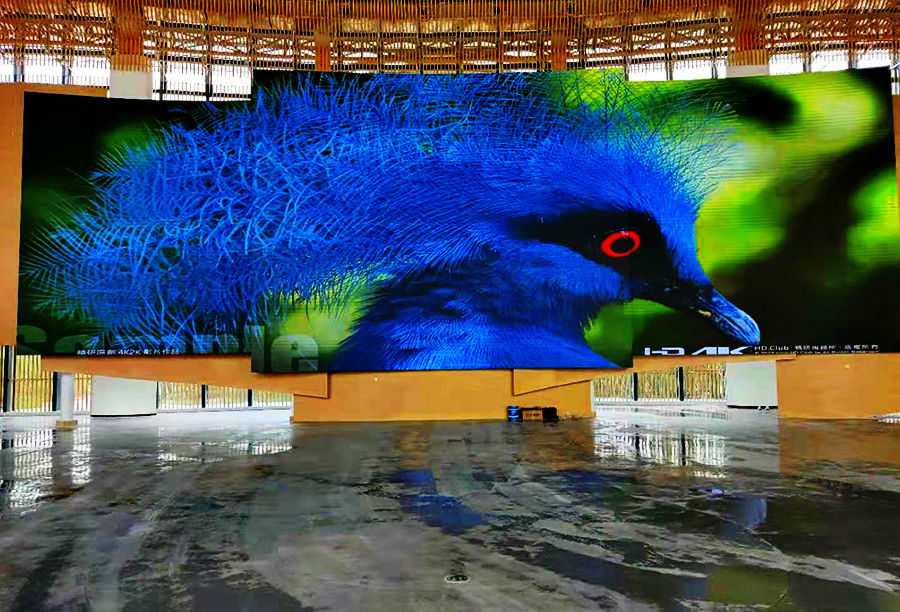 �Ĵ��˱��������Ʒ��������