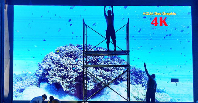 �����н�ź���Сѧ������