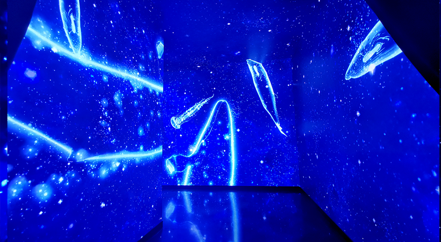 �㽭̨����ˮ��