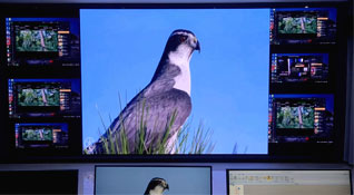 ��������ˮ��˾��������