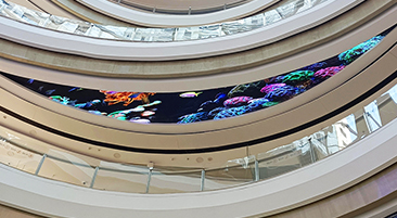 ����ʡ��������������a�_