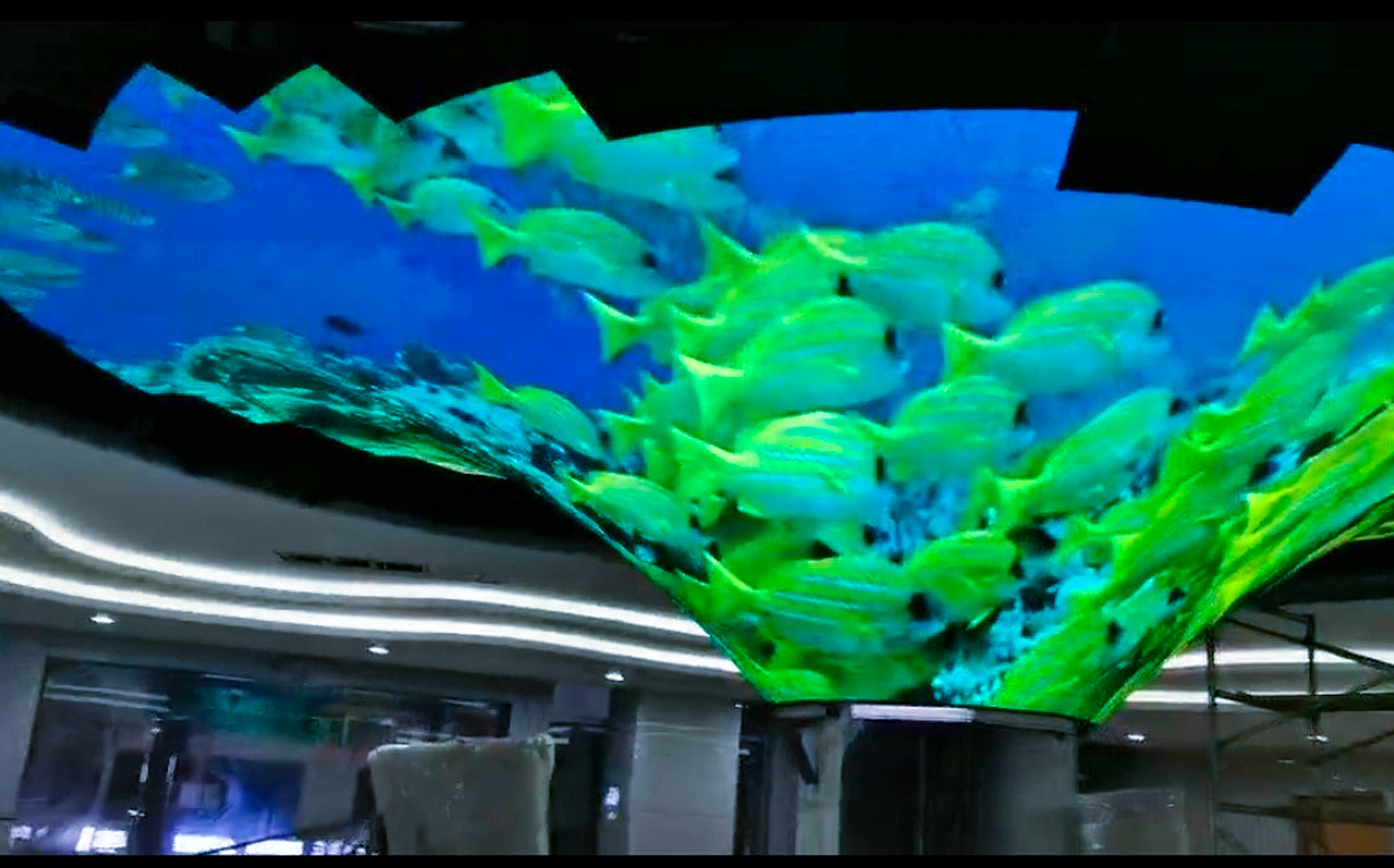 1277ÐǼʵç×ÓÓÎÏ·¹ÙÍø