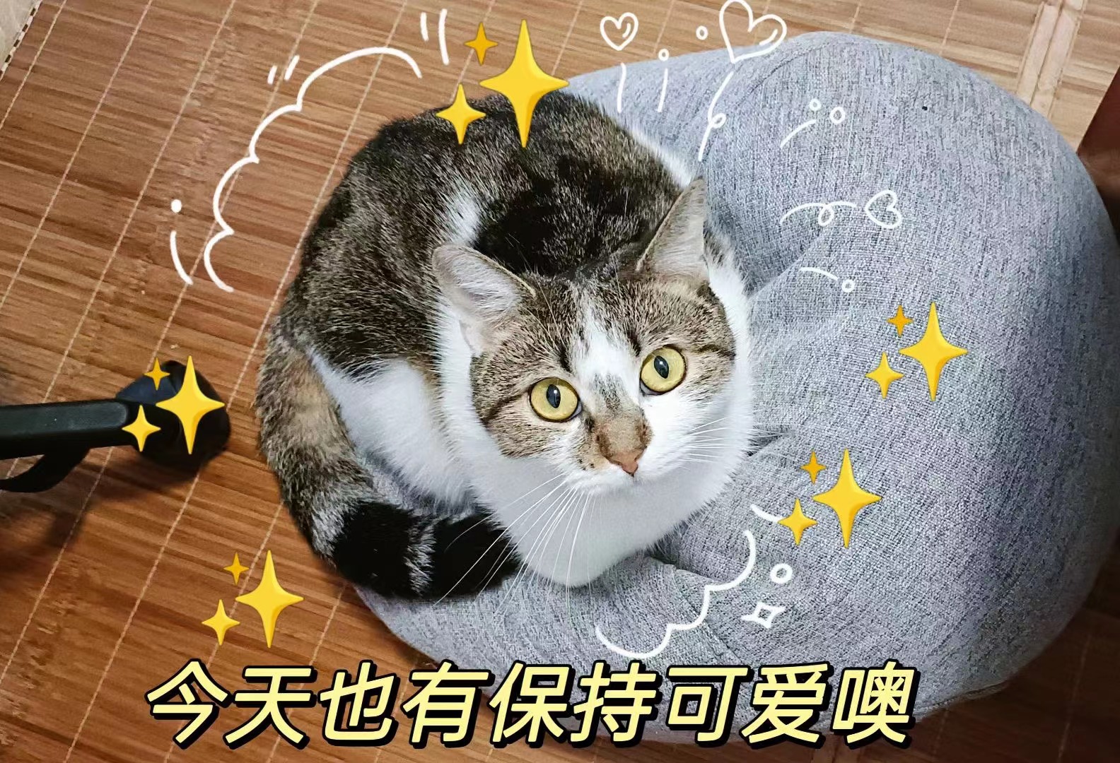 1277�Ǽʵ�����Ϸ����