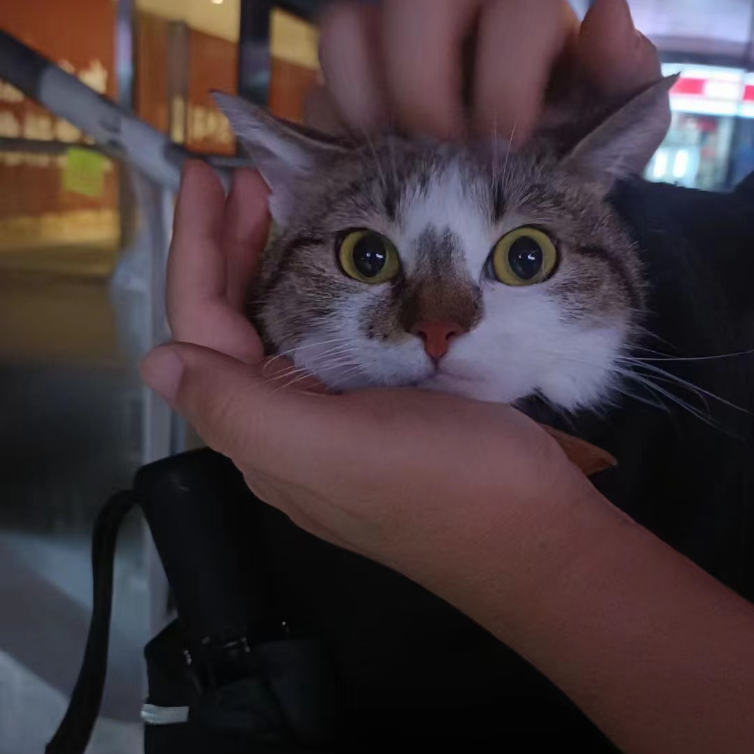 1277�Ǽʵ�����Ϸ����