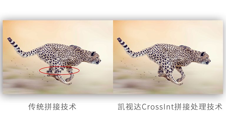 1277�Ǽʵ�����Ϸ����