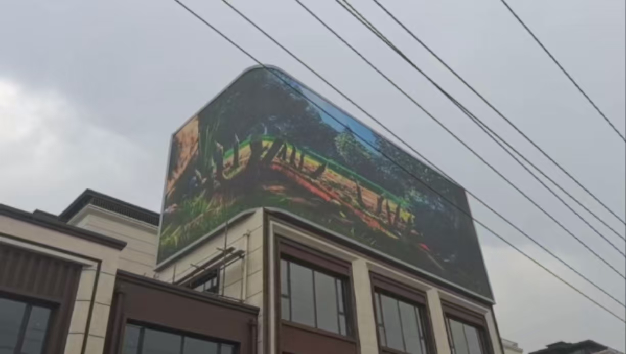 ���ݻ�����