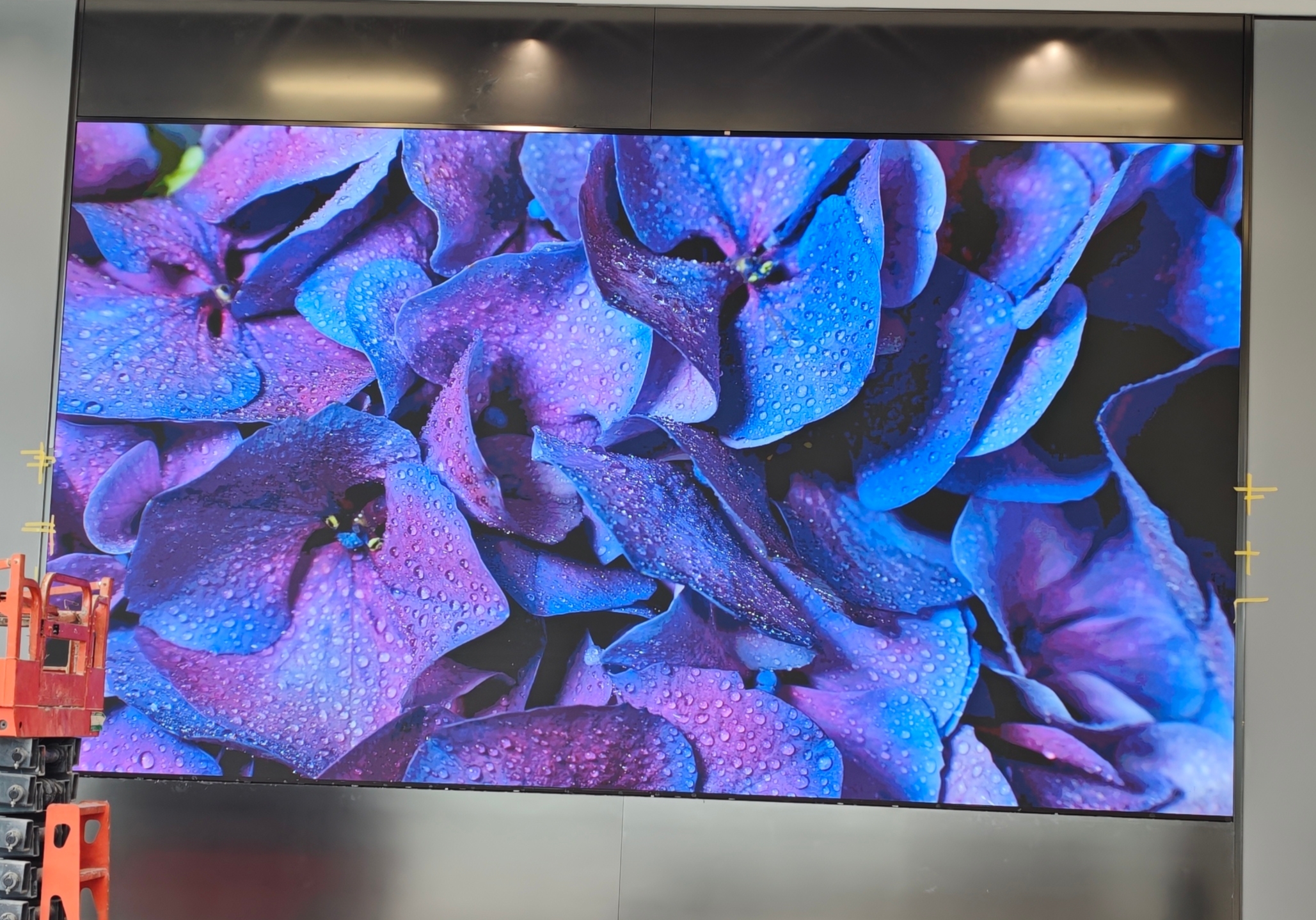 ����ĳ��˾