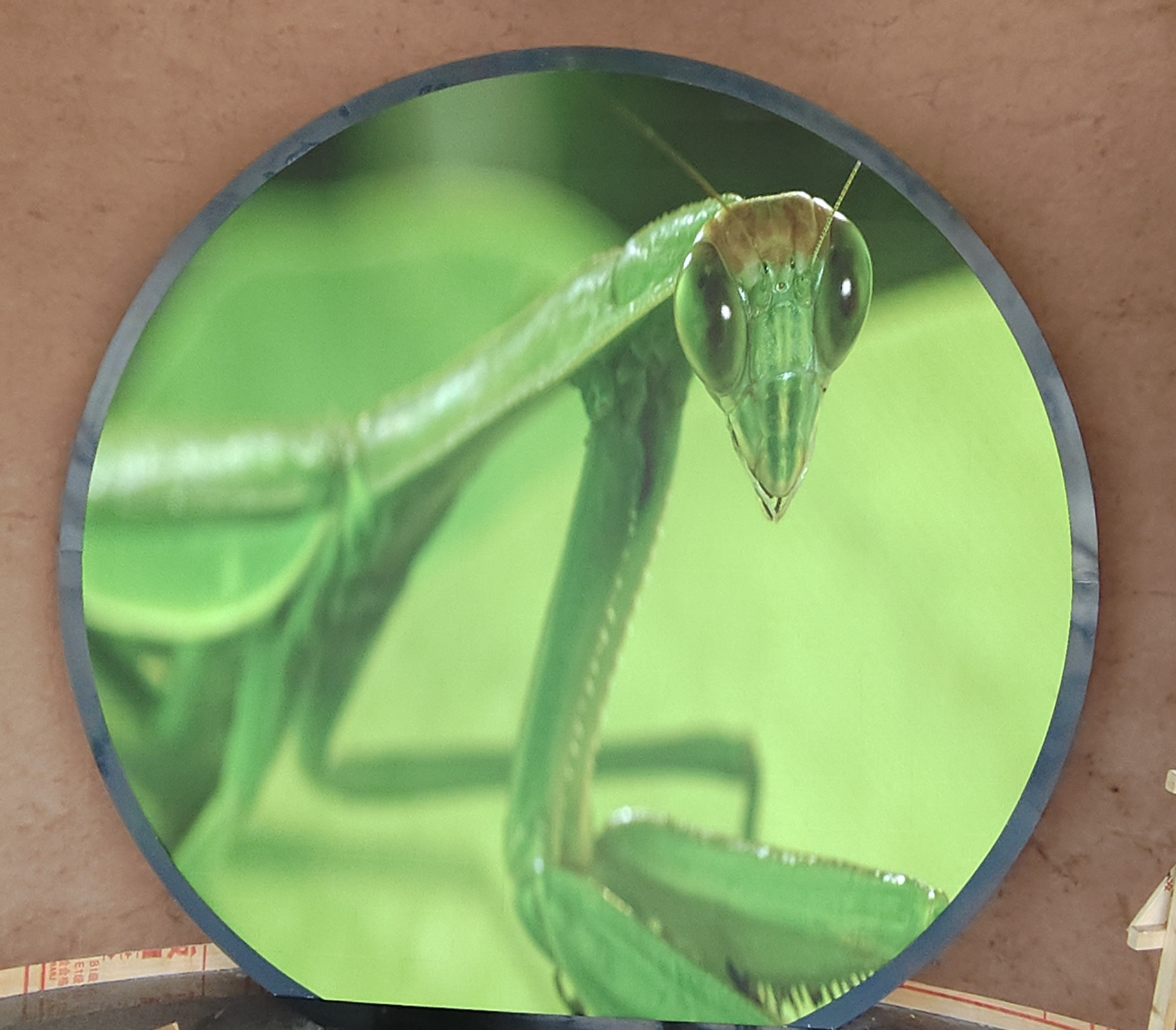 �ܿ���������