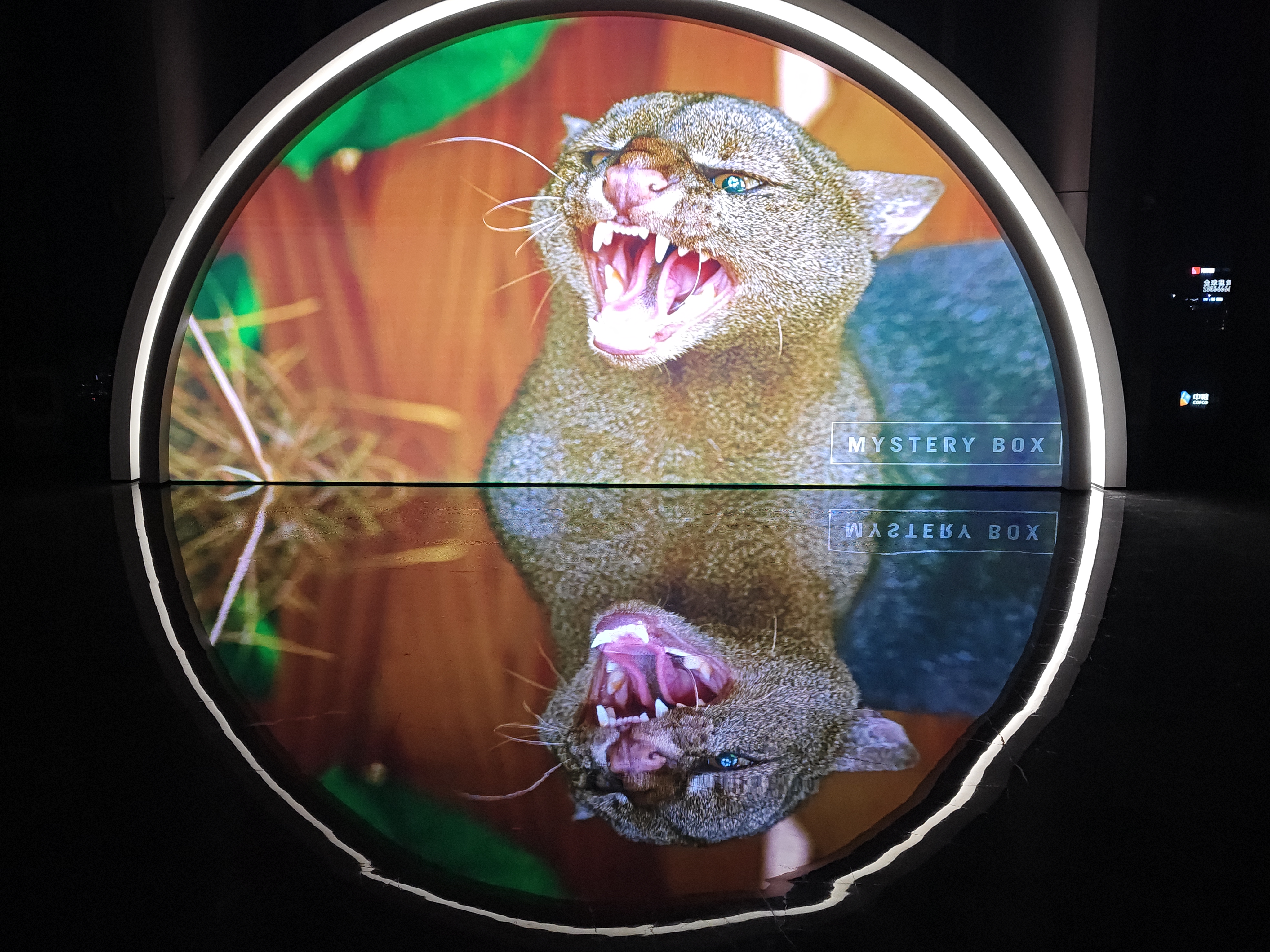 ��ɽ����Բ���δ���