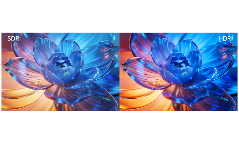 1277�Ǽʵ�����Ϸ����