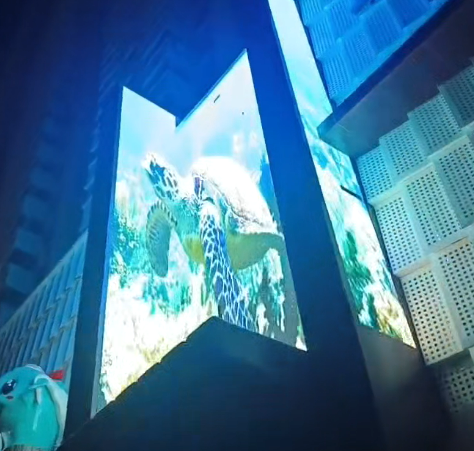 �����������3D