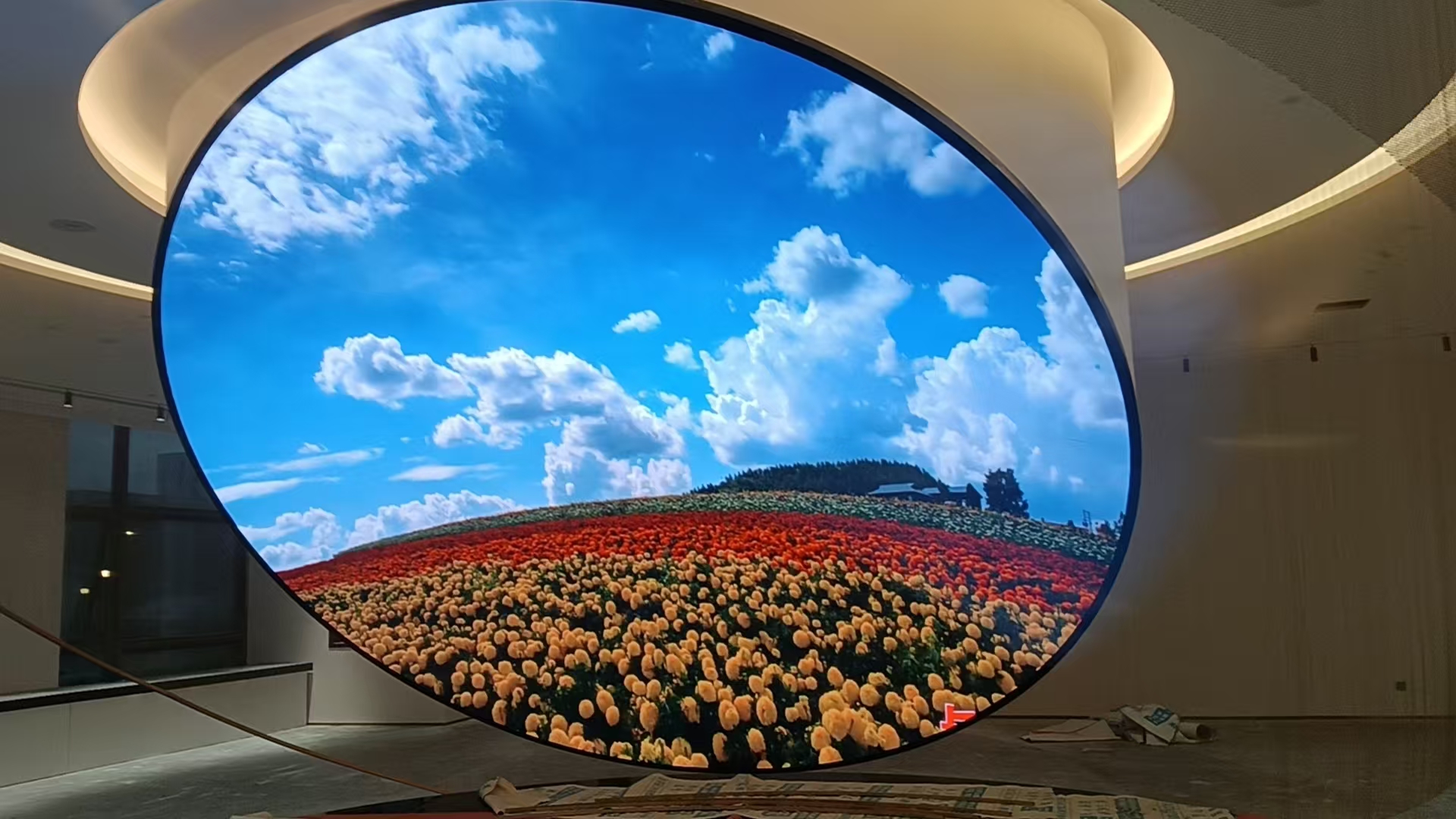 ���ݸ�ҫ񷶥��