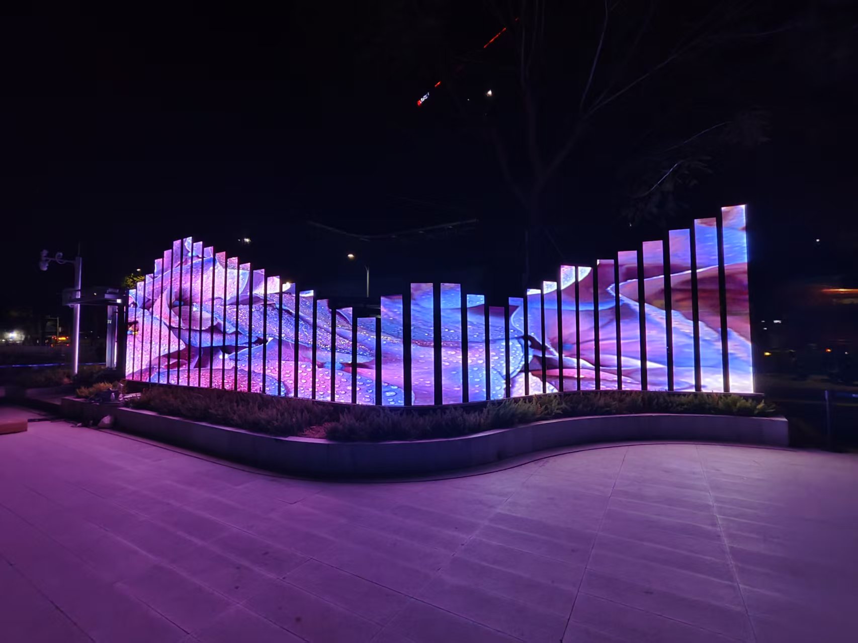 ��������ɽ��