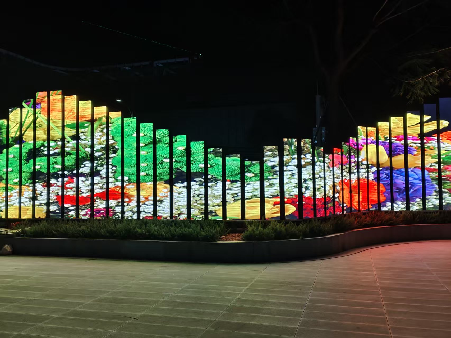 ��������ɽ��