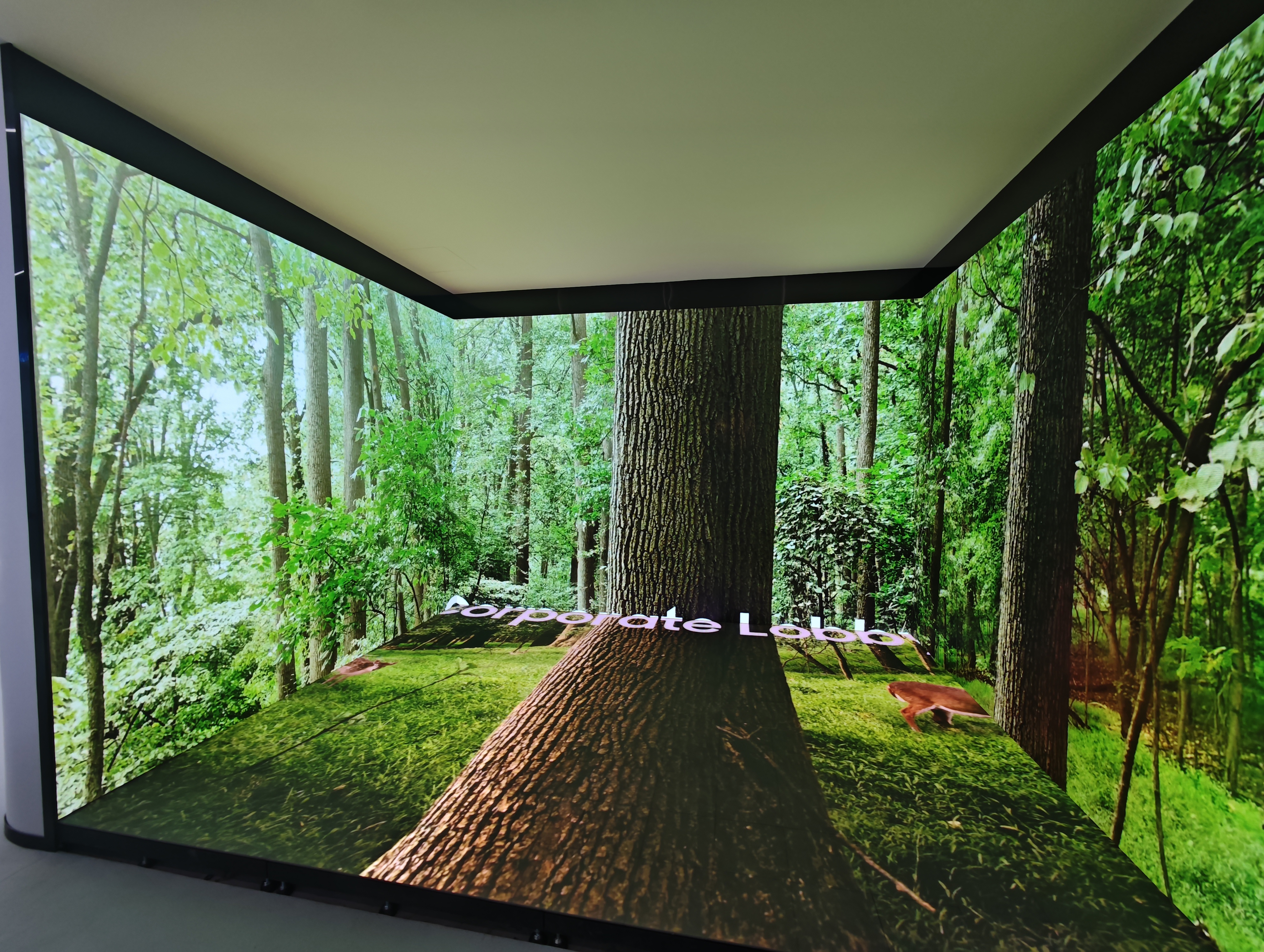 �к���������װ�����޹�˾չ��