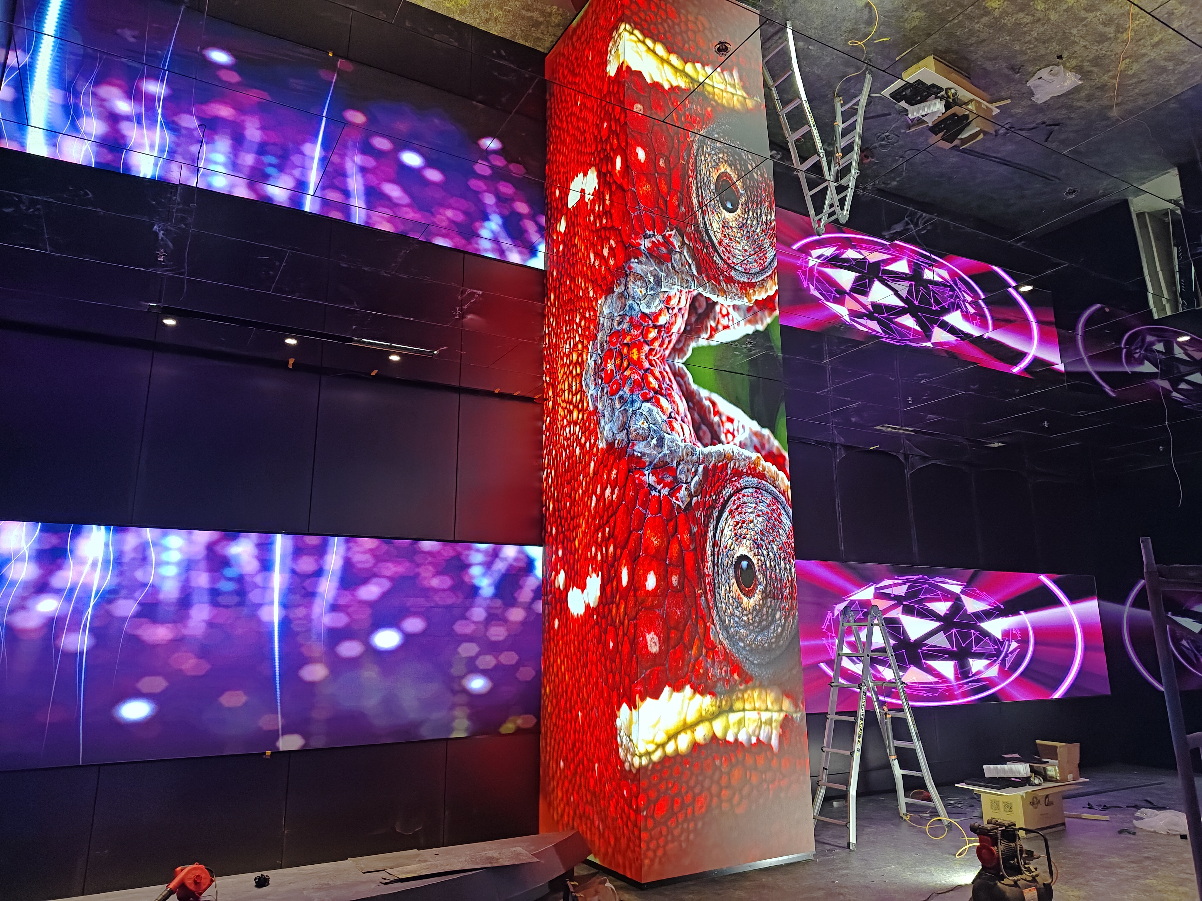 �¶�����ҵ����չ��