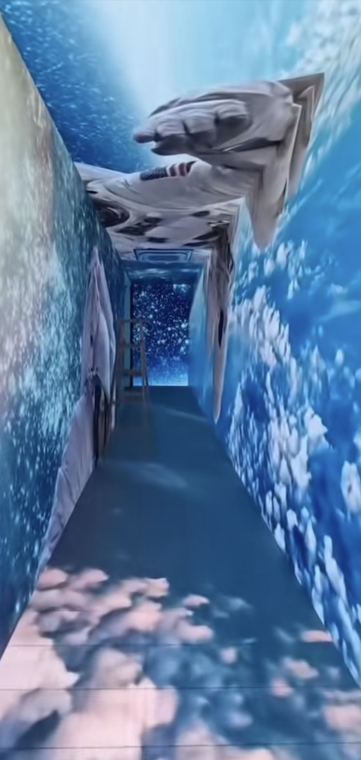 ��ͷ����ʽչ��